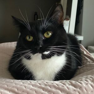 Meet your Posher, Jantelle